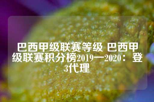 巴西甲级联赛等级 巴西甲级联赛积分榜2019一2020：登3代理-第1张图片-皇冠信用盘出租