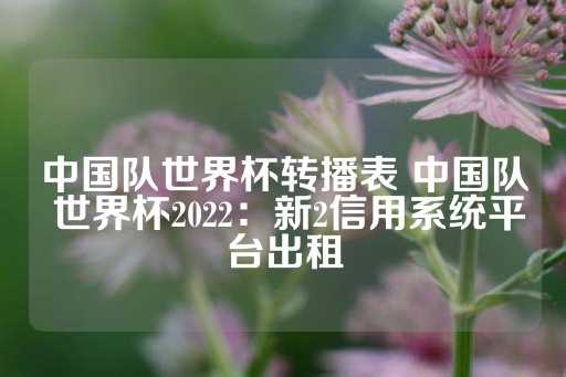 中国队世界杯转播表 中国队 世界杯2022：新2信用系统平台出租-第1张图片-皇冠信用盘出租