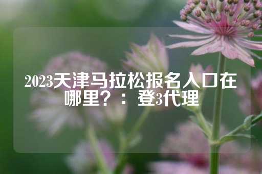 2023天津马拉松报名入口在哪里？：登3代理