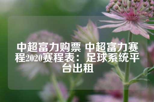 中超富力购票 中超富力赛程2020赛程表：足球系统平台出租-第1张图片-皇冠信用盘出租