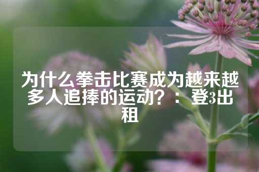 为什么拳击比赛成为越来越多人追捧的运动？：登3出租