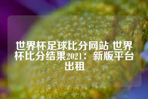 世界杯足球比分网站 世界杯比分结果2021：新版平台出租