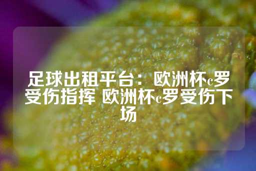 足球出租平台：欧洲杯c罗受伤指挥 欧洲杯c罗受伤下场-第1张图片-皇冠信用盘出租