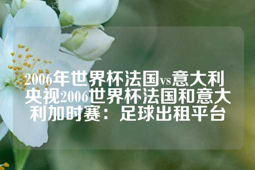 2006年世界杯法国vs意大利 央视2006世界杯法国和意大利加时赛：足球出租平台