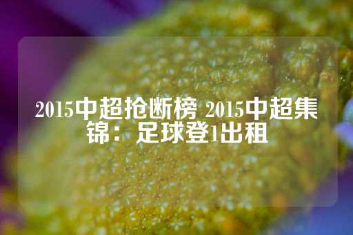 2015中超抢断榜 2015中超集锦：足球登1出租