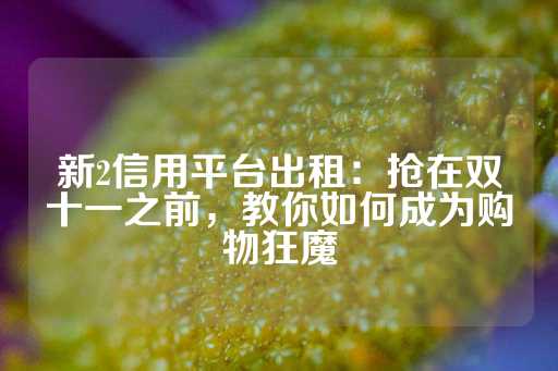 新2信用平台出租：抢在双十一之前，教你如何成为购物狂魔