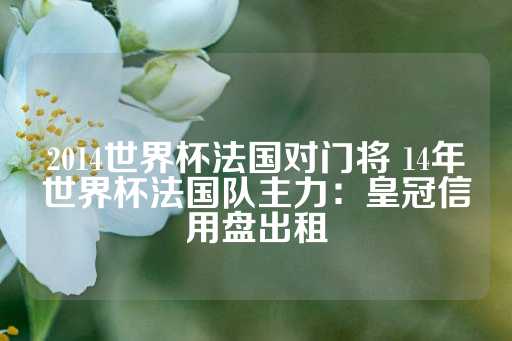 2014世界杯法国对门将 14年世界杯法国队主力：皇冠信用盘出租