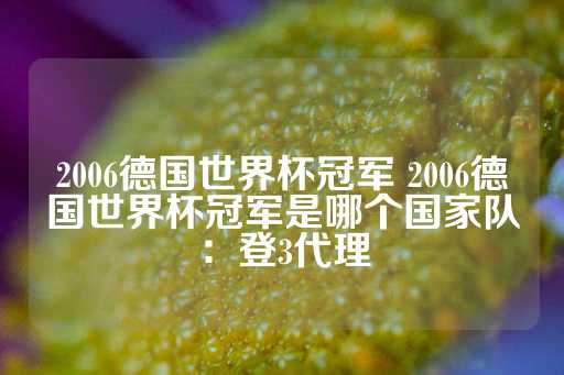 2006德国世界杯冠军 2006德国世界杯冠军是哪个国家队：登3代理