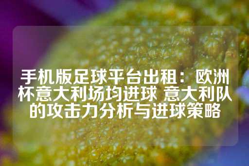 手机版足球平台出租：欧洲杯意大利场均进球 意大利队的攻击力分析与进球策略