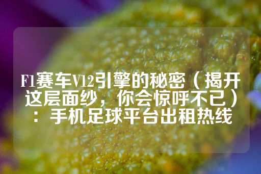 F1赛车V12引擎的秘密（揭开这层面纱，你会惊呼不已）：手机足球平台出租热线-第1张图片-皇冠信用盘出租