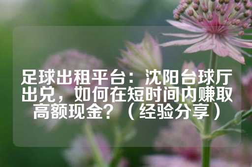 足球出租平台：沈阳台球厅出兑，如何在短时间内赚取高额现金？（经验分享）