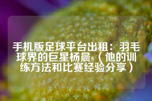 手机版足球平台出租：羽毛球界的巨星杨晨s（他的训练方法和比赛经验分享）