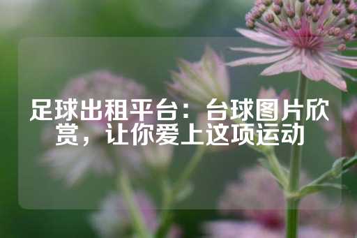 足球出租平台：台球图片欣赏，让你爱上这项运动