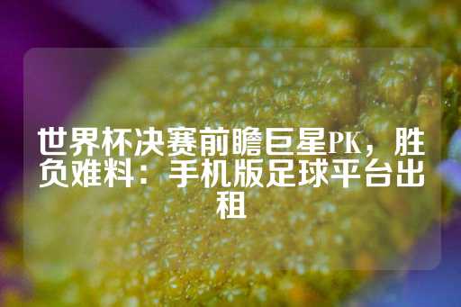 世界杯决赛前瞻巨星PK，胜负难料：手机版足球平台出租