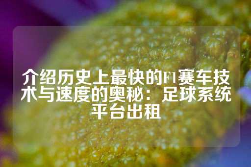 介绍历史上最快的F1赛车技术与速度的奥秘：足球系统平台出租