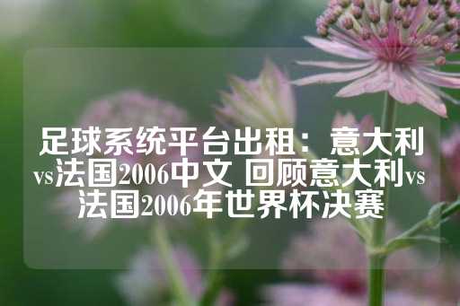 足球系统平台出租：意大利vs法国2006中文 回顾意大利vs法国2006年世界杯决赛