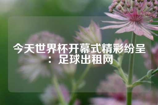 今天世界杯开幕式精彩纷呈：足球出租网-第1张图片-皇冠信用盘出租