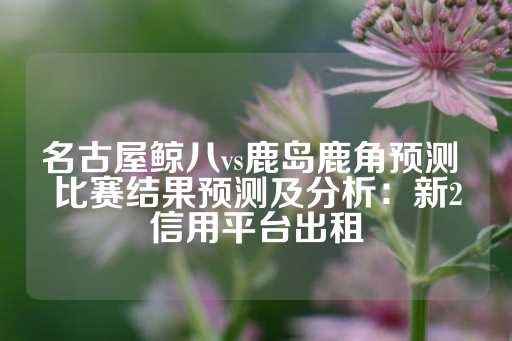 名古屋鲸八vs鹿岛鹿角预测 比赛结果预测及分析：新2信用平台出租