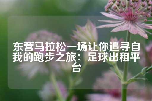 东营马拉松一场让你追寻自我的跑步之旅：足球出租平台-第1张图片-皇冠信用盘出租