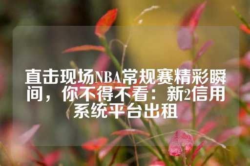 直击现场NBA常规赛精彩瞬间，你不得不看：新2信用系统平台出租