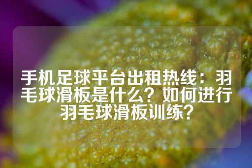 手机足球平台出租热线：羽毛球滑板是什么？如何进行羽毛球滑板训练？