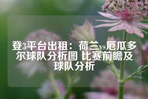 登3平台出租：荷兰vs厄瓜多尔球队分析图 比赛前瞻及球队分析