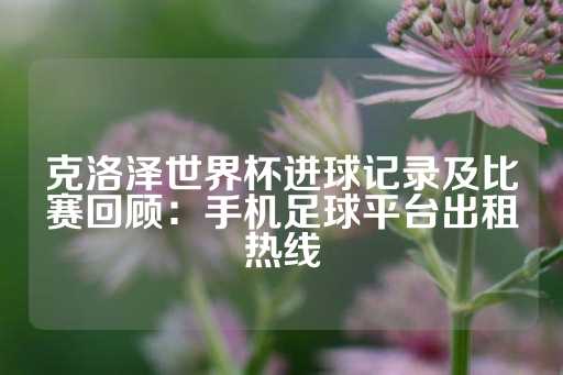 克洛泽世界杯进球记录及比赛回顾：手机足球平台出租热线