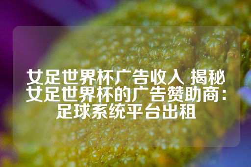 女足世界杯广告收入 揭秘女足世界杯的广告赞助商：足球系统平台出租