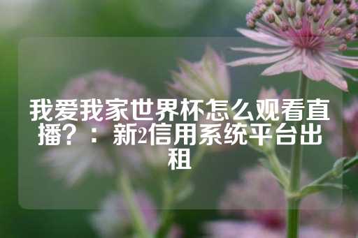 我爱我家世界杯怎么观看直播？：新2信用系统平台出租