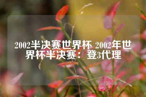 2002半决赛世界杯 2002年世界杯半决赛：登3代理-第1张图片-皇冠信用盘出租