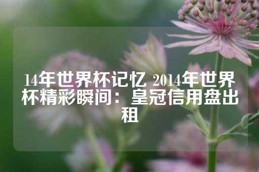 14年世界杯记忆 2014年世界杯精彩瞬间：皇冠信用盘出租