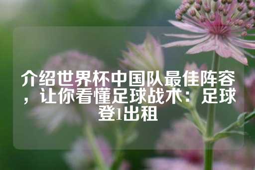 介绍世界杯中国队最佳阵容，让你看懂足球战术：足球登1出租