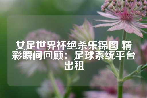 女足世界杯绝杀集锦图 精彩瞬间回顾：足球系统平台出租