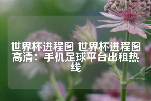 世界杯进程图 世界杯进程图高清：手机足球平台出租热线