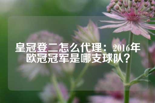 皇冠登二怎么代理：2016年欧冠冠军是哪支球队？