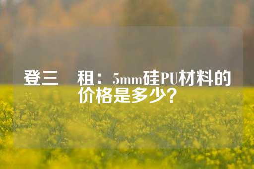 登三岀租：5mm硅PU材料的价格是多少？