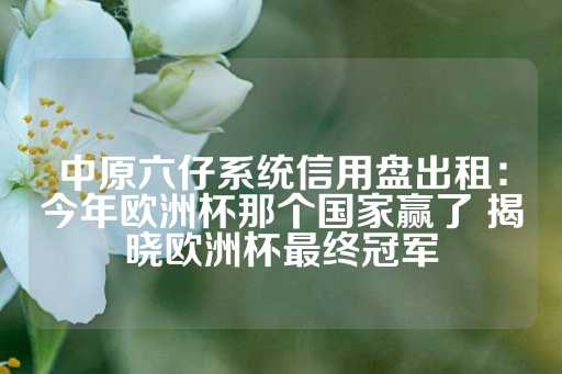 中原六仔系统信用盘出租：今年欧洲杯那个国家赢了 揭晓欧洲杯最终冠军