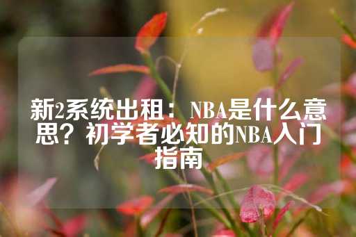 新2系统出租：NBA是什么意思？初学者必知的NBA入门指南