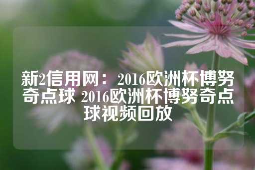 新2信用网：2016欧洲杯博努奇点球 2016欧洲杯博努奇点球视频回放