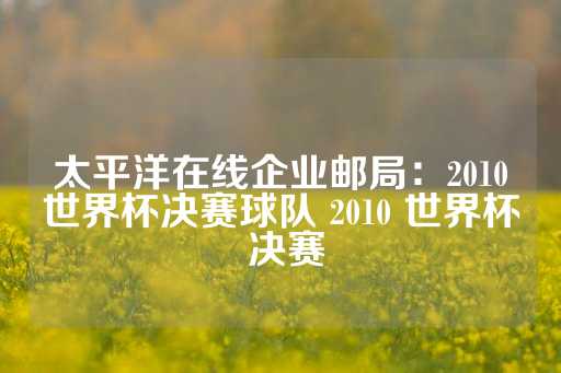 太平洋在线企业邮局：2010世界杯决赛球队 2010 世界杯 决赛