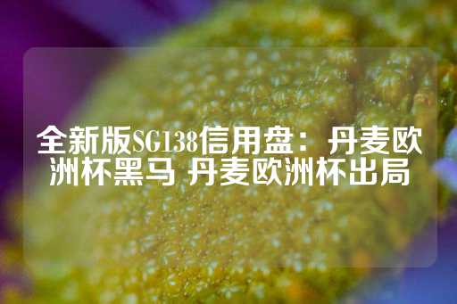 全新版SG138信用盘：丹麦欧洲杯黑马 丹麦欧洲杯出局-第1张图片-皇冠信用盘出租