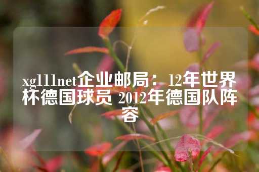 xg111net企业邮局：12年世界杯德国球员 2012年德国队阵容-第1张图片-皇冠信用盘出租