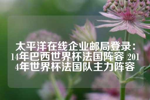 太平洋在线企业邮局登录：14年巴西世界杯法国阵容 2014年世界杯法国队主力阵容