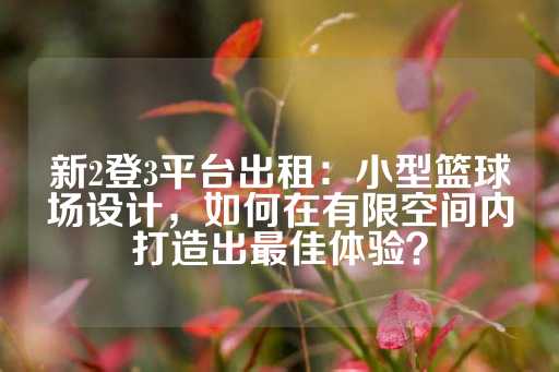 新2登3平台出租：小型篮球场设计，如何在有限空间内打造出最佳体验？