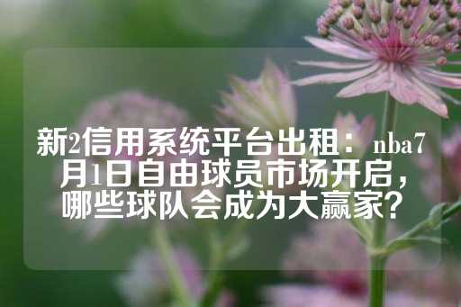 新2信用系统平台出租：nba7月1日自由球员市场开启，哪些球队会成为大赢家？