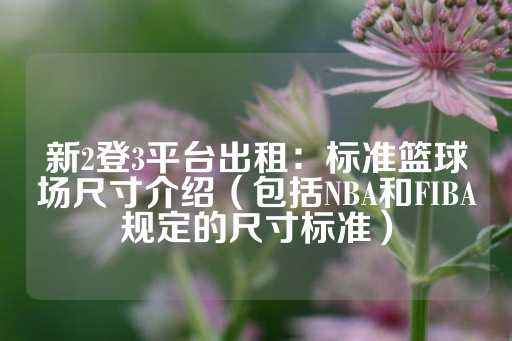 新2登3平台出租：标准篮球场尺寸介绍（包括NBA和FIBA规定的尺寸标准）