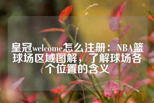 皇冠welcome怎么注册：NBA篮球场区域图解，了解球场各个位置的含义-第1张图片-皇冠信用盘出租