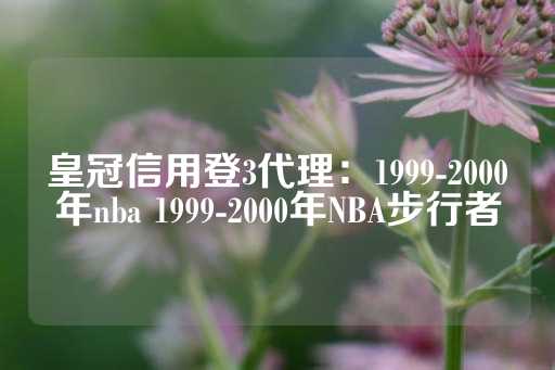 皇冠信用登3代理：1999-2000年nba 1999-2000年NBA步行者-第1张图片-皇冠信用盘出租