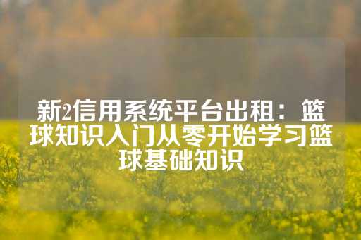 新2信用系统平台出租：篮球知识入门从零开始学习篮球基础知识