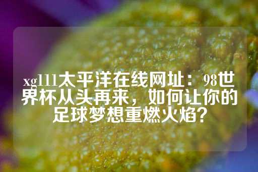 xg111太平洋在线网址：98世界杯从头再来，如何让你的足球梦想重燃火焰？